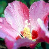 determining serotonin syndrome image healthtips images